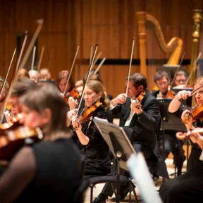 A close-up of The Royal Philharmonic Orchestra string section performing on stage.