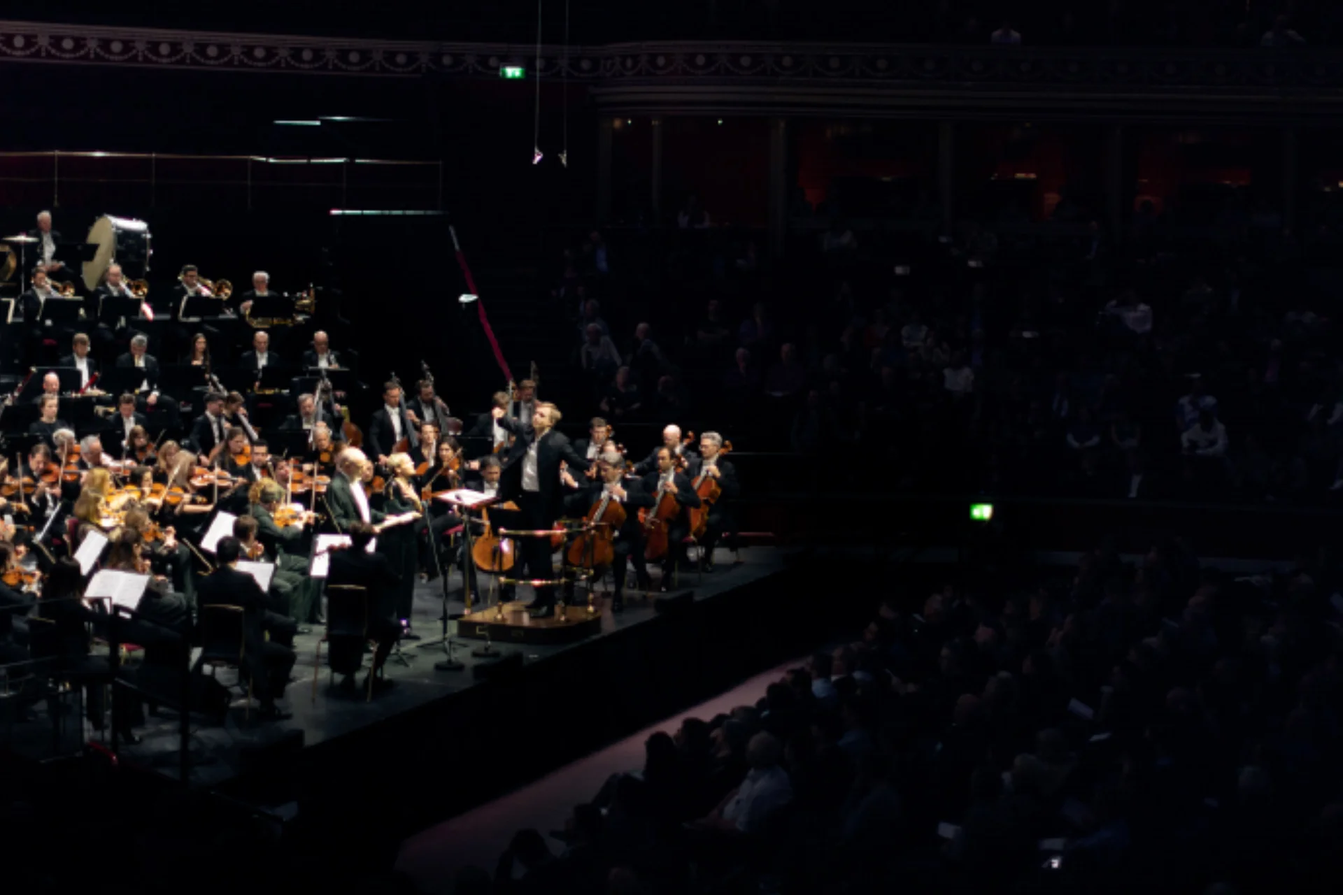 Vasily Petrenko conducting the Royal Philharmonic Orchestra in concert at the Royal Albert Hall, with the audience in darkness to their right