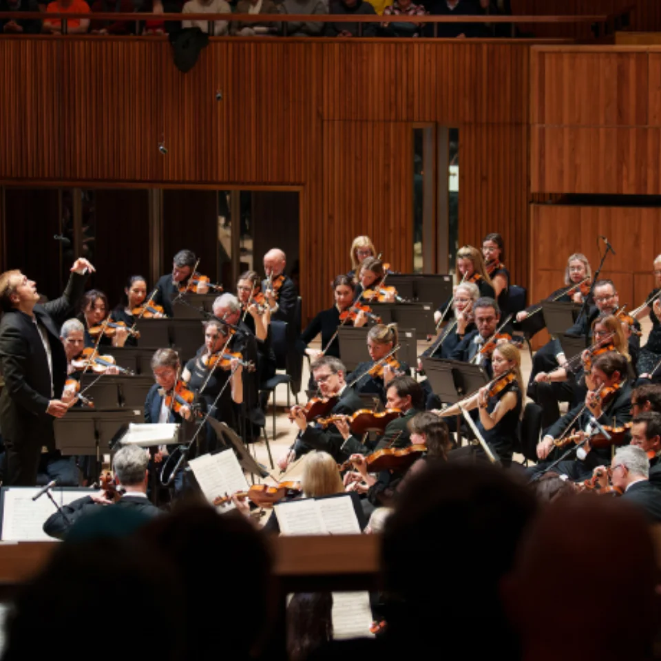 Orchestra playing in front of an audience
