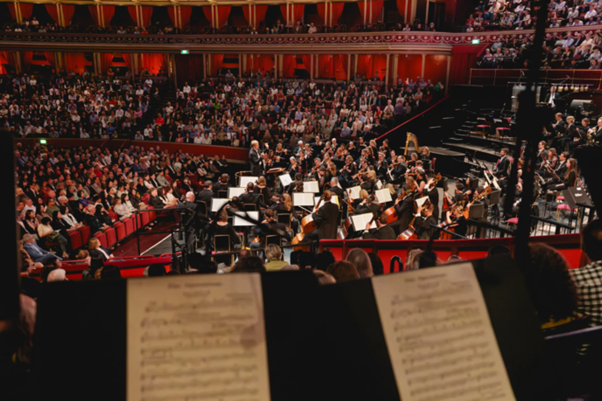 A point-of-view photo of an orchestra