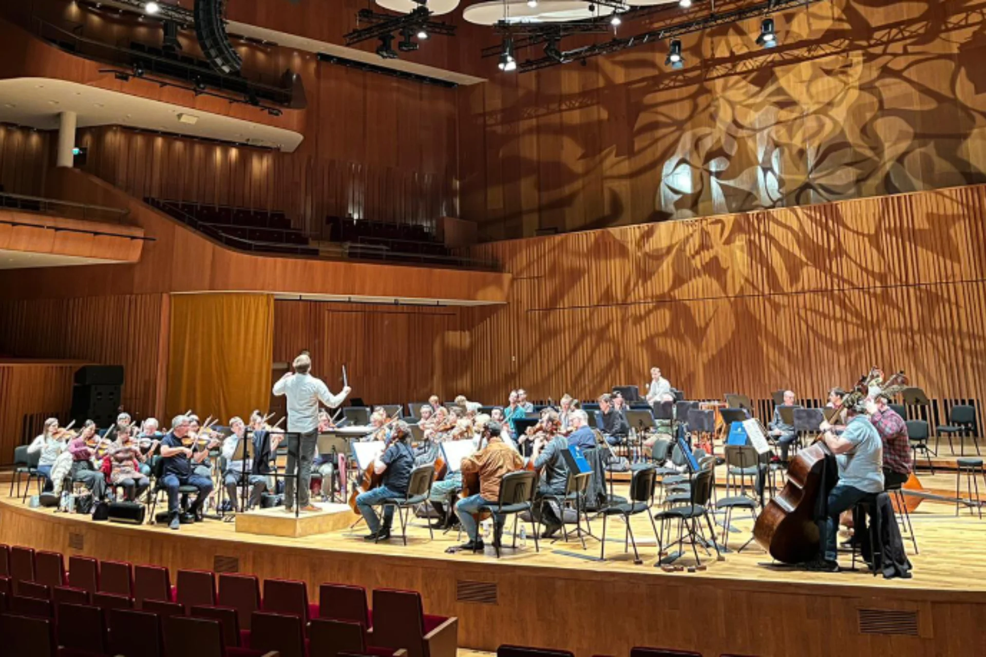 Orchestra playing in front of an audience in a large concert hall