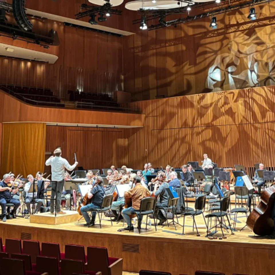 Orchestra playing in front of an audience in a large concert hall